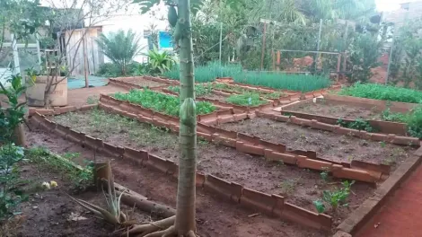 Alugar Casa / Condom&iacute;nio em S&atilde;o Jos&eacute; do Rio Preto R$ 1.200,00 - Foto 17
