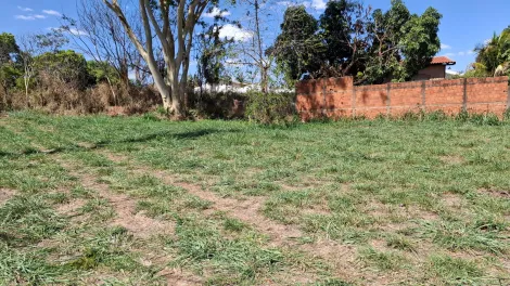 Terreno / Padr&atilde;o em S&atilde;o Jos&eacute; do Rio Preto 