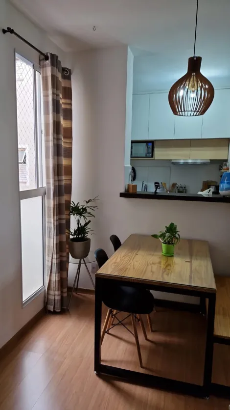 Alugar Apartamento / Padr&atilde;o em S&atilde;o Jos&eacute; do Rio Preto. apenas R$ 1.250,00