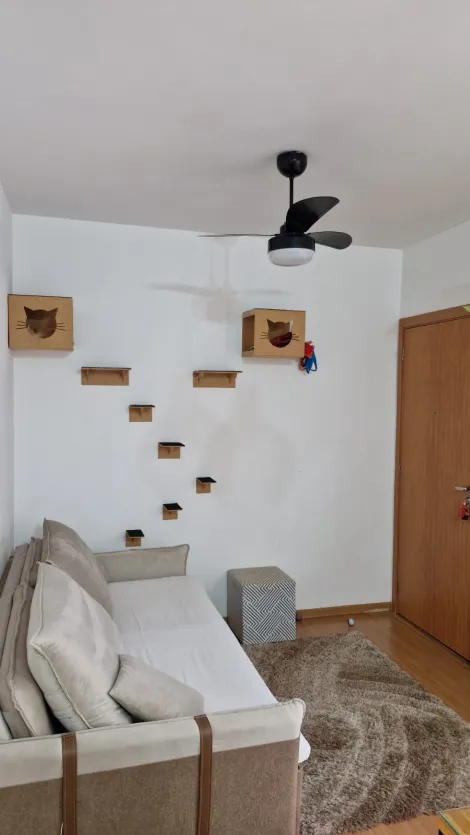 Alugar Apartamento / Padr&atilde;o em S&atilde;o Jos&eacute; do Rio Preto R$ 1.250,00 - Foto 13