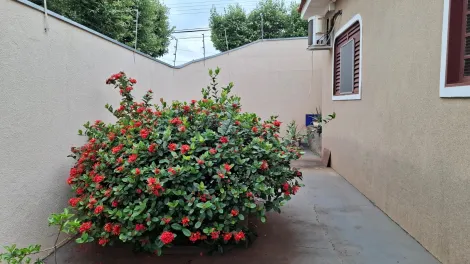 Comprar Casa / Padr&atilde;o em S&atilde;o Jos&eacute; do Rio Preto R$ 440.000,00 - Foto 31