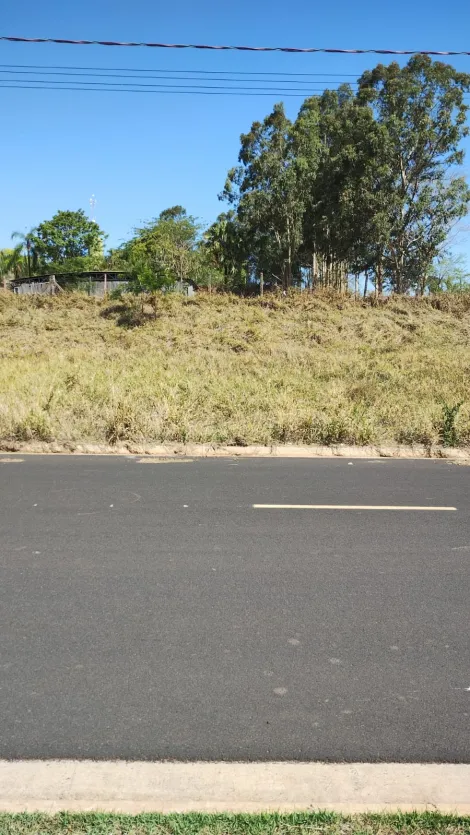Alugar Terreno / Padr&atilde;o em S&atilde;o Jos&eacute; do Rio Preto. apenas R$ 110.000,00