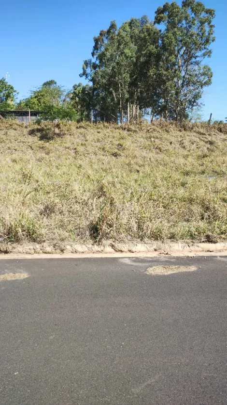 Comprar Terreno / Padr&atilde;o em S&atilde;o Jos&eacute; do Rio Preto R$ 110.000,00 - Foto 2