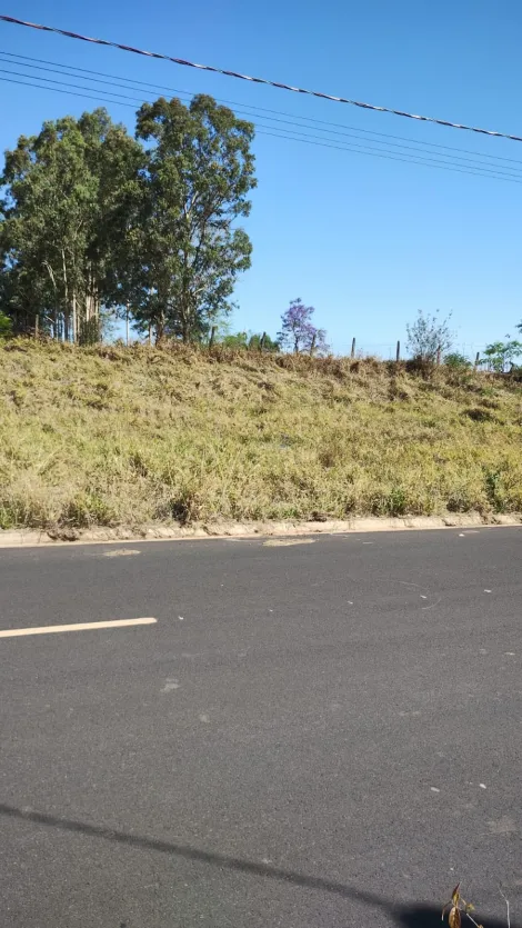 Comprar Terreno / Padr&atilde;o em S&atilde;o Jos&eacute; do Rio Preto R$ 110.000,00 - Foto 3
