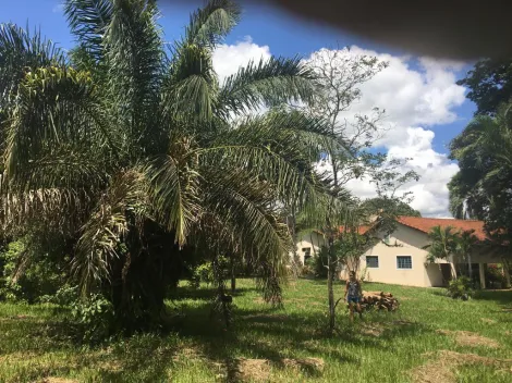 Comprar Rural / Ch&aacute;cara em S&atilde;o Jos&eacute; do Rio Preto R$ 2.100.000,00 - Foto 6