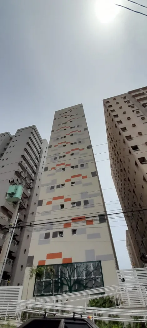 Alugar Apartamento / Padr&atilde;o em S&atilde;o Jos&eacute; do Rio Preto R$ 2.200,00 - Foto 14
