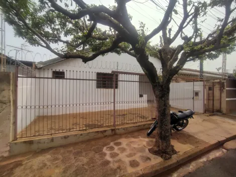 Alugar Casa / Padr&atilde;o em S&atilde;o Jos&eacute; do Rio Preto. apenas R$ 380.000,00