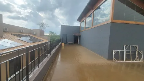 Comprar Casa / Condom&iacute;nio em S&atilde;o Jos&eacute; do Rio Preto R$ 3.800.000,00 - Foto 52