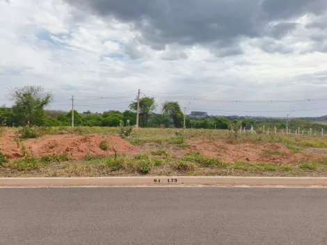 Terreno / Padr&atilde;o em S&atilde;o Jos&eacute; do Rio Preto 