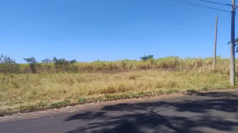 Terreno / Padr&atilde;o em Cedral 
