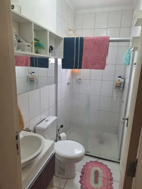 Alugar Apartamento / Padr&atilde;o em S&atilde;o Jos&eacute; do Rio Preto R$ 1.200,00 - Foto 3