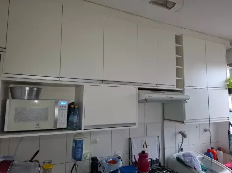 Alugar Apartamento / Padr&atilde;o em S&atilde;o Jos&eacute; do Rio Preto R$ 1.200,00 - Foto 8
