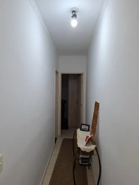Alugar Apartamento / Padr&atilde;o em S&atilde;o Jos&eacute; do Rio Preto R$ 1.200,00 - Foto 11