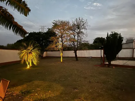 Comprar Rural / Ch&aacute;cara em S&atilde;o Jos&eacute; do Rio Preto R$ 1.500.000,00 - Foto 13