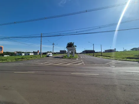 Alugar Terreno / Padr&atilde;o em S&atilde;o Jos&eacute; do Rio Preto R$ 1.800,00 - Foto 5