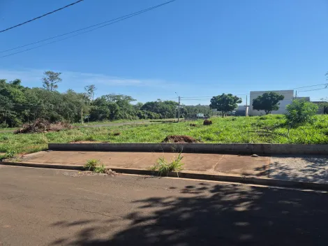 Alugar Terreno / Padr&atilde;o em S&atilde;o Jos&eacute; do Rio Preto R$ 1.800,00 - Foto 3