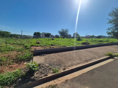 Alugar Terreno / Padr&atilde;o em S&atilde;o Jos&eacute; do Rio Preto R$ 1.800,00 - Foto 4