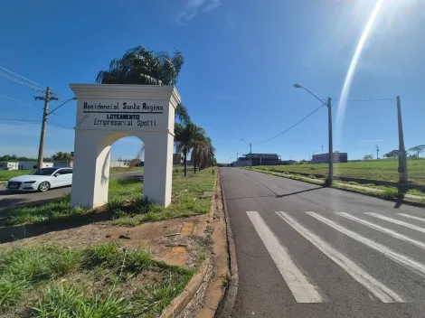Alugar Terreno / Padr&atilde;o em S&atilde;o Jos&eacute; do Rio Preto R$ 1.800,00 - Foto 2