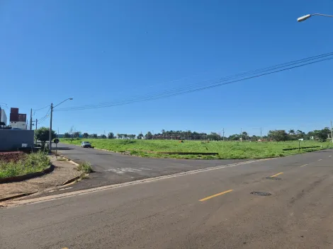 Alugar Terreno / Padr&atilde;o em S&atilde;o Jos&eacute; do Rio Preto R$ 1.800,00 - Foto 6
