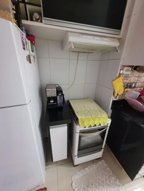Comprar Apartamento / Padr&atilde;o em S&atilde;o Jos&eacute; do Rio Preto R$ 275.000,00 - Foto 5