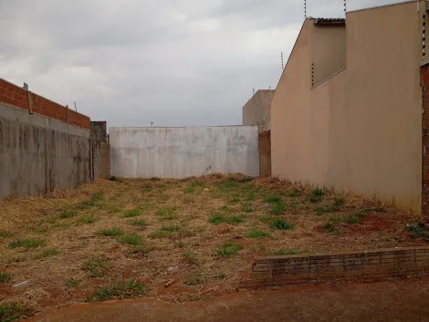 Alugar Terreno / Padr&atilde;o em S&atilde;o Jos&eacute; do Rio Preto. apenas R$ 190.000,00