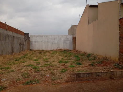 Comprar Terreno / Padr&atilde;o em S&atilde;o Jos&eacute; do Rio Preto R$ 190.000,00 - Foto 2