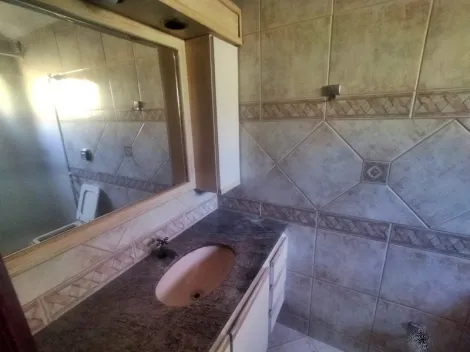Alugar Apartamento / Padr&atilde;o em S&atilde;o Jos&eacute; do Rio Preto R$ 1.800,00 - Foto 18