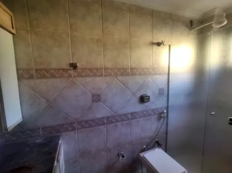 Alugar Apartamento / Padr&atilde;o em S&atilde;o Jos&eacute; do Rio Preto R$ 1.800,00 - Foto 19