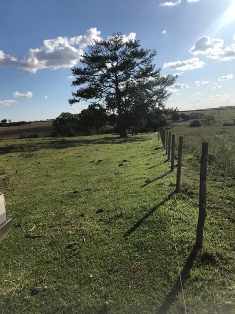 Comprar Rural / S&iacute;tio em S&atilde;o Jos&eacute; do Rio Preto R$ 5.650.000,00 - Foto 2