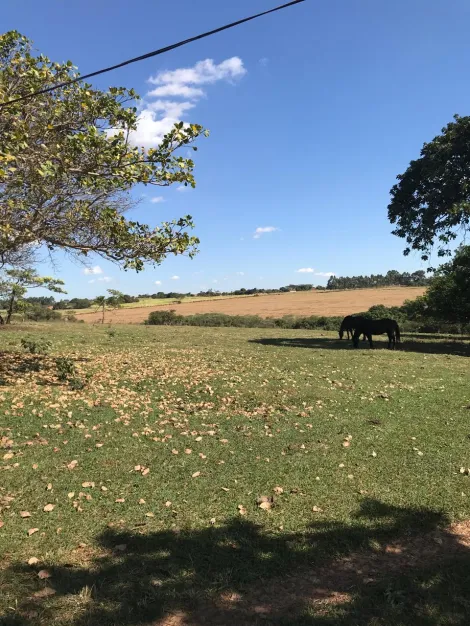 Comprar Rural / S&iacute;tio em S&atilde;o Jos&eacute; do Rio Preto R$ 5.650.000,00 - Foto 3