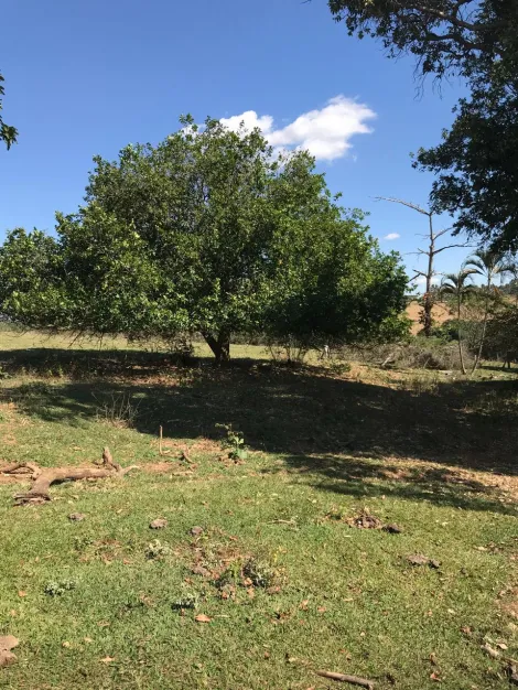 Comprar Rural / S&iacute;tio em S&atilde;o Jos&eacute; do Rio Preto R$ 5.650.000,00 - Foto 6