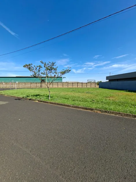 Comprar Terreno / Condom&iacute;nio em S&atilde;o Jos&eacute; do Rio Preto R$ 420.000,00 - Foto 3