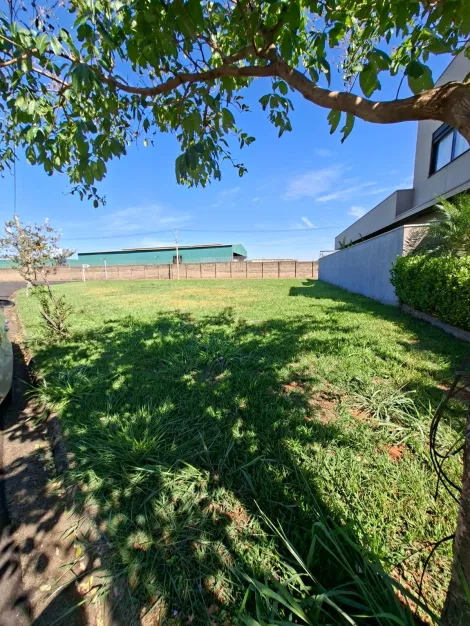 Comprar Terreno / Condom&iacute;nio em S&atilde;o Jos&eacute; do Rio Preto R$ 420.000,00 - Foto 5