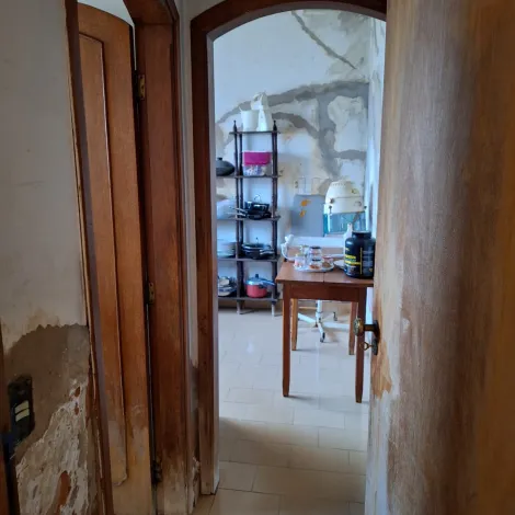 Alugar Comercial / Casa Comercial em S&atilde;o Jos&eacute; do Rio Preto R$ 12.000,00 - Foto 22