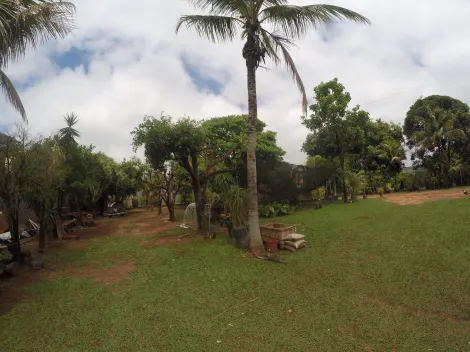 Comprar Rural / Ch&aacute;cara em S&atilde;o Jos&eacute; do Rio Preto R$ 1.900.000,00 - Foto 21