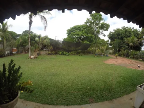 Comprar Rural / Ch&aacute;cara em S&atilde;o Jos&eacute; do Rio Preto R$ 1.900.000,00 - Foto 23