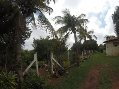 Comprar Rural / Ch&aacute;cara em S&atilde;o Jos&eacute; do Rio Preto R$ 1.900.000,00 - Foto 26