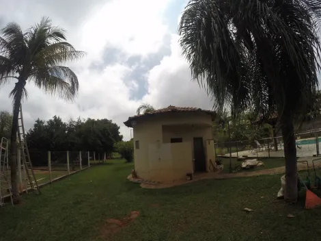 Comprar Rural / Ch&aacute;cara em S&atilde;o Jos&eacute; do Rio Preto R$ 1.900.000,00 - Foto 28