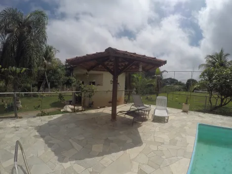 Comprar Rural / Ch&aacute;cara em S&atilde;o Jos&eacute; do Rio Preto R$ 1.900.000,00 - Foto 12