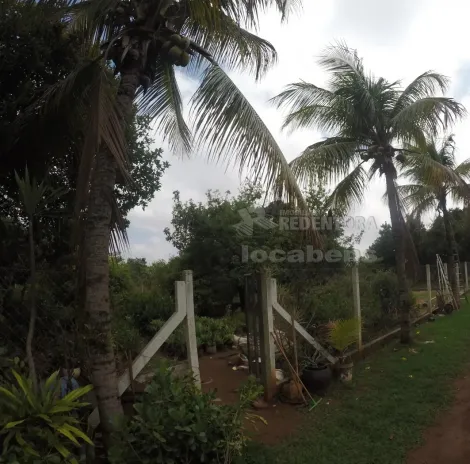 Comprar Rural / Ch&aacute;cara em S&atilde;o Jos&eacute; do Rio Preto R$ 1.200.000,00 - Foto 3