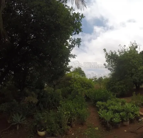 Comprar Rural / Ch&aacute;cara em S&atilde;o Jos&eacute; do Rio Preto R$ 1.200.000,00 - Foto 4