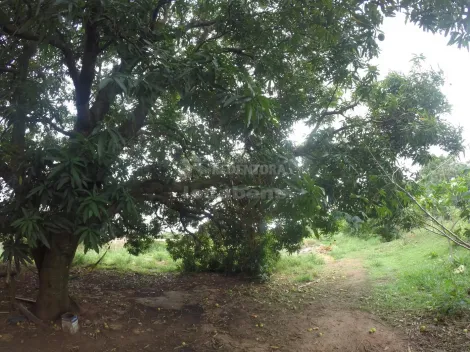 Comprar Rural / Ch&aacute;cara em S&atilde;o Jos&eacute; do Rio Preto R$ 1.200.000,00 - Foto 5
