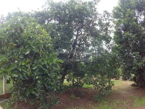 Comprar Rural / Ch&aacute;cara em S&atilde;o Jos&eacute; do Rio Preto R$ 1.200.000,00 - Foto 6