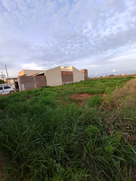 Alugar Terreno / Padr&atilde;o em S&atilde;o Jos&eacute; do Rio Preto. apenas R$ 125.000,00