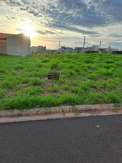 Terreno / Padr&atilde;o em S&atilde;o Jos&eacute; do Rio Preto 