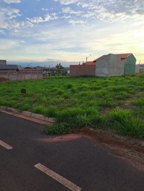 Comprar Terreno / Padr&atilde;o em S&atilde;o Jos&eacute; do Rio Preto R$ 135.000,00 - Foto 3