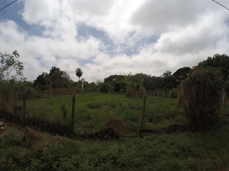 Comprar Rural / Ch&aacute;cara em S&atilde;o Jos&eacute; do Rio Preto R$ 800.000,00 - Foto 2