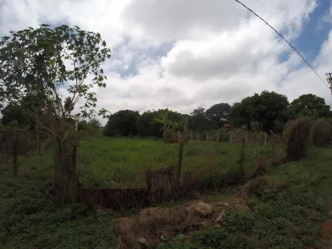 Comprar Rural / Ch&aacute;cara em S&atilde;o Jos&eacute; do Rio Preto R$ 800.000,00 - Foto 4
