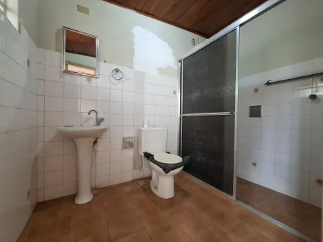 Alugar Casa / Padr&atilde;o em S&atilde;o Jos&eacute; do Rio Preto R$ 2.500,00 - Foto 9