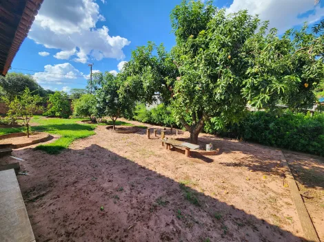 Comprar Rural / Ch&aacute;cara em S&atilde;o Jos&eacute; do Rio Preto R$ 450.000,00 - Foto 15